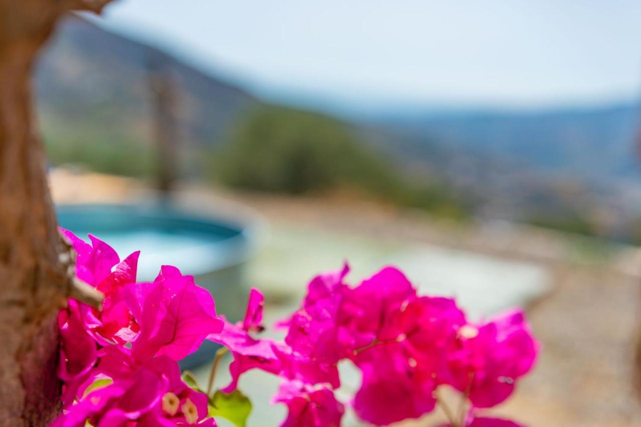 Casa Nathium. Villa Borge Exterior photo